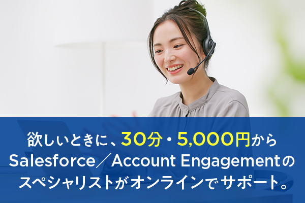 【Webスポットサポート】欲しいときに、30分・5,000円からSalesforce／Pardotのスペシャリストがオンラインでサポート。