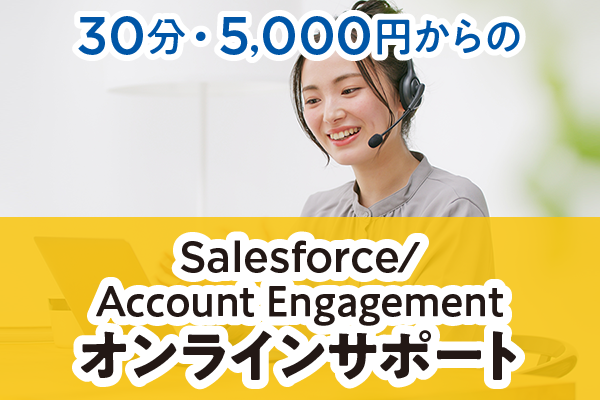 【Webスポットサポート】欲しいときに、30分・5,000円からSalesforce／Pardotのスペシャリストがオンラインでサポート。